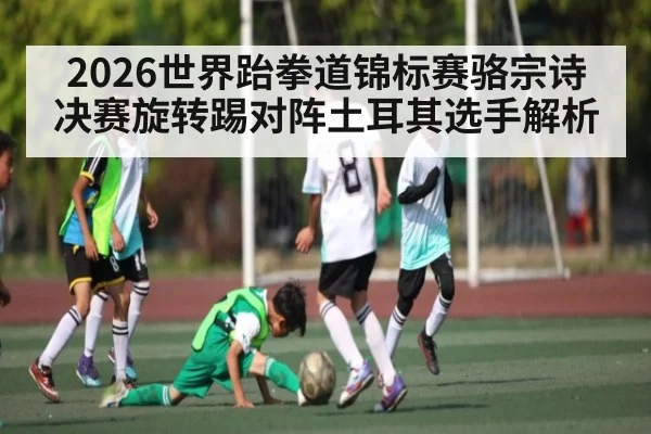 2026世界跆拳道锦标赛骆宗诗决赛旋转踢对阵土耳其选手解析