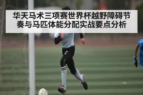 华天马术三项赛世界杯越野障碍节奏与马匹体能分配实战要点分析